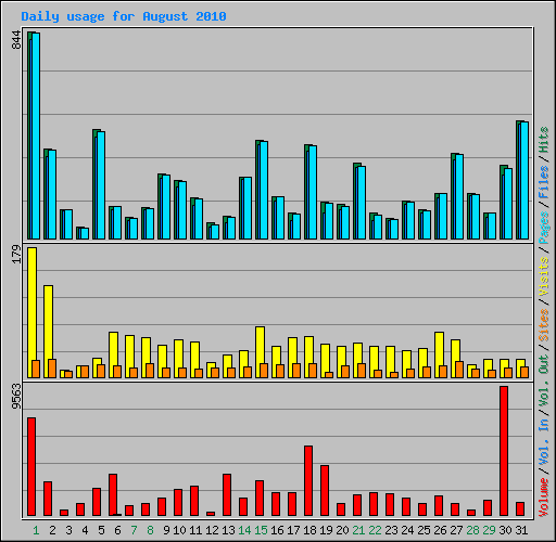 Daily usage for August 2010