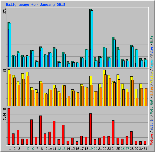 Daily usage for January 2013