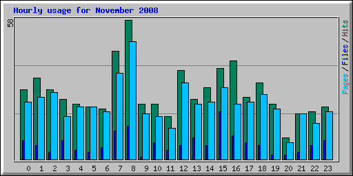 Hourly usage for November 2008