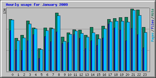 Hourly usage for January 2009