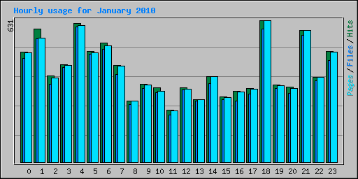 Hourly usage for January 2010