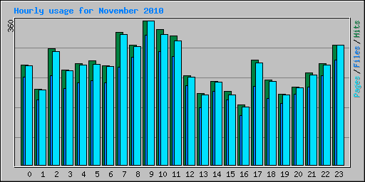 Hourly usage for November 2010