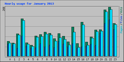Hourly usage for January 2013