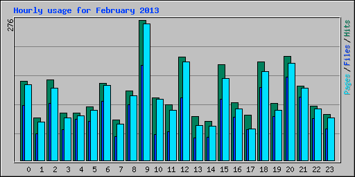Hourly usage for February 2013
