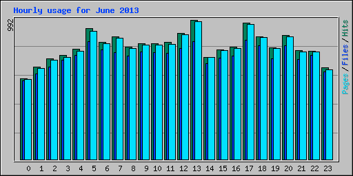 Hourly usage for June 2013