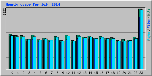 Hourly usage for July 2014