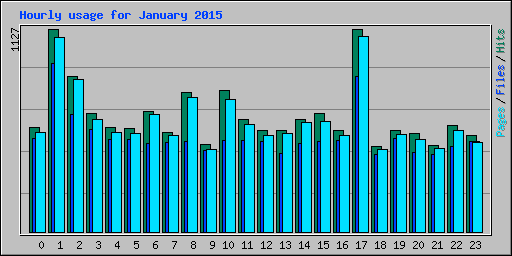 Hourly usage for January 2015