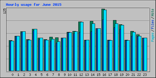 Hourly usage for June 2015